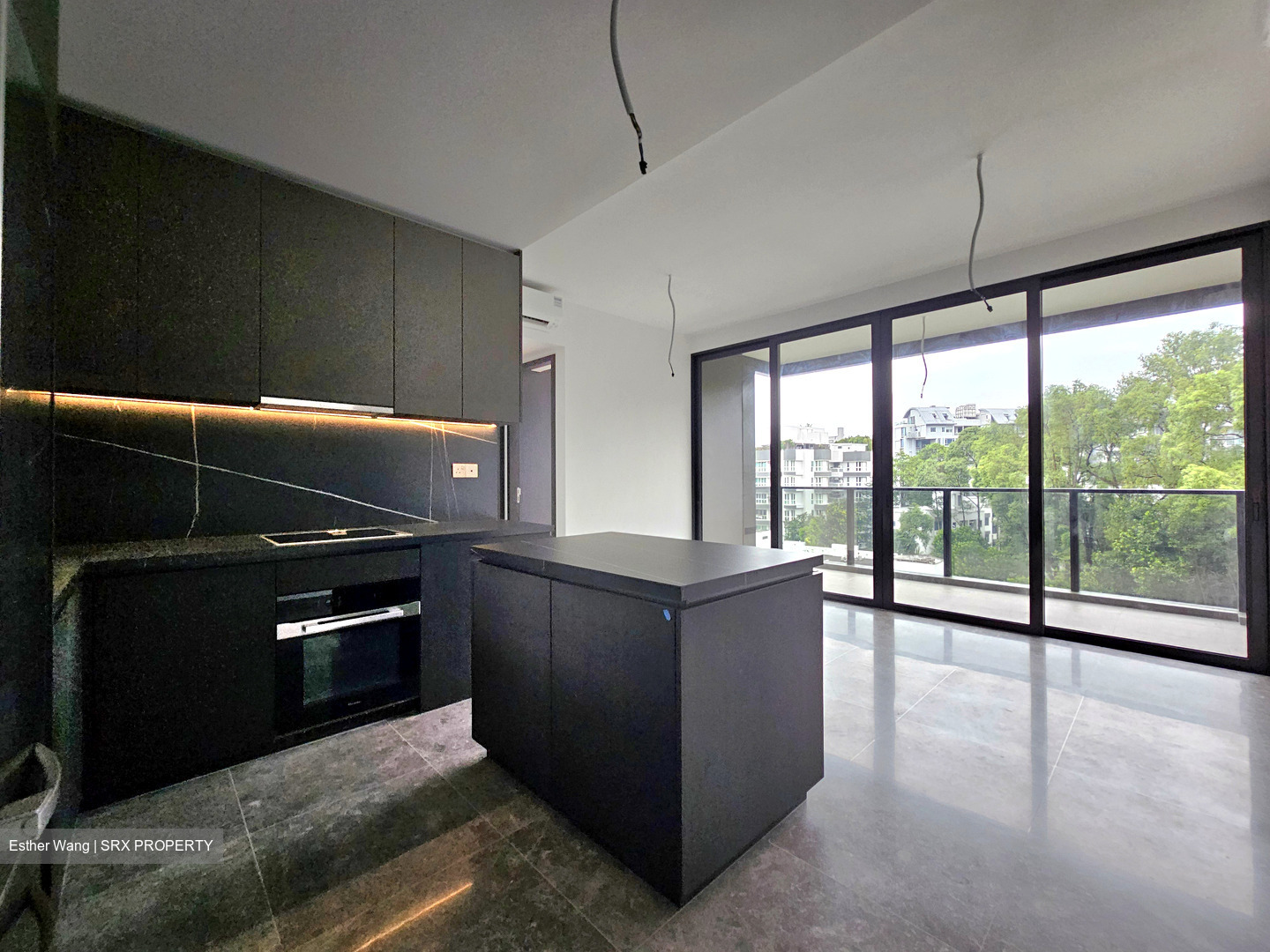 Hyll On Holland (D10), Condominium #434849281